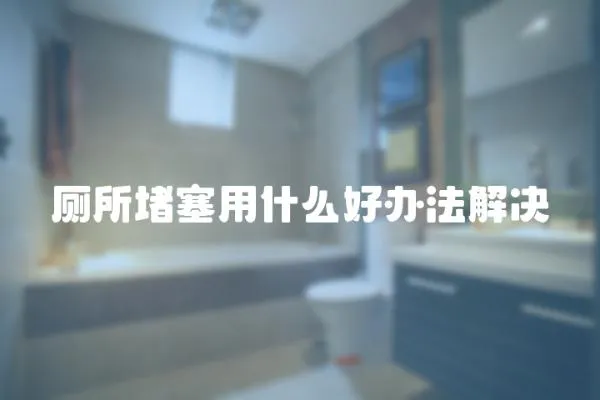 廁所堵塞用什么好辦法解決