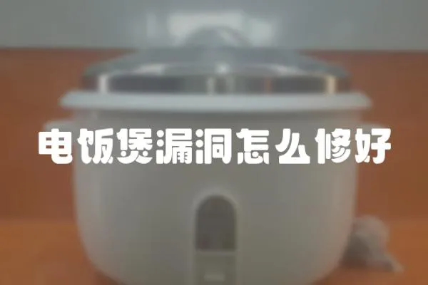 電飯煲漏洞怎么修好