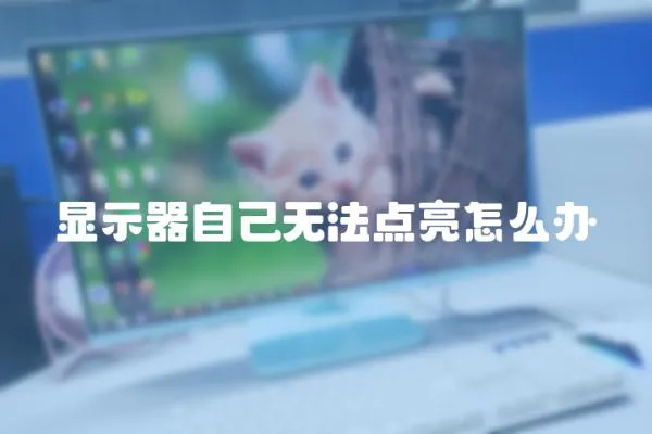 顯示器自己無(wú)法點(diǎn)亮怎么辦
