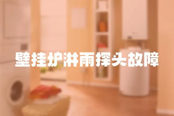 壁掛爐淋雨探頭故障