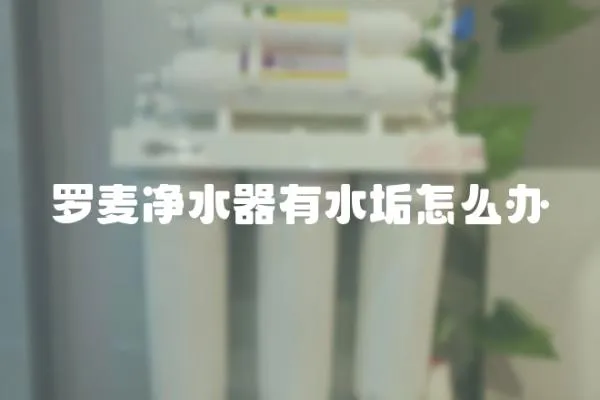 羅麥凈水器有水垢怎么辦