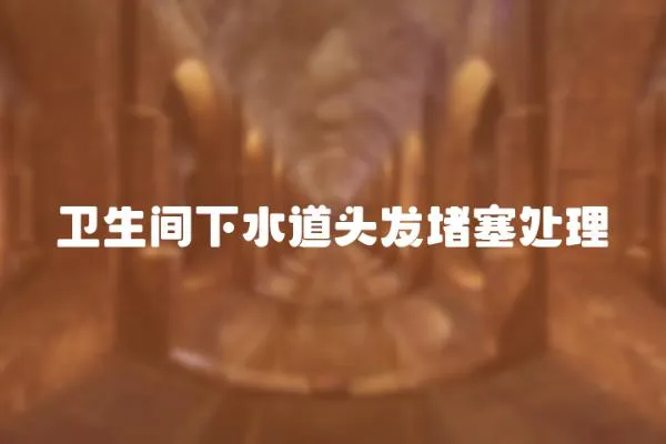 衛生間下水道頭發堵塞處理