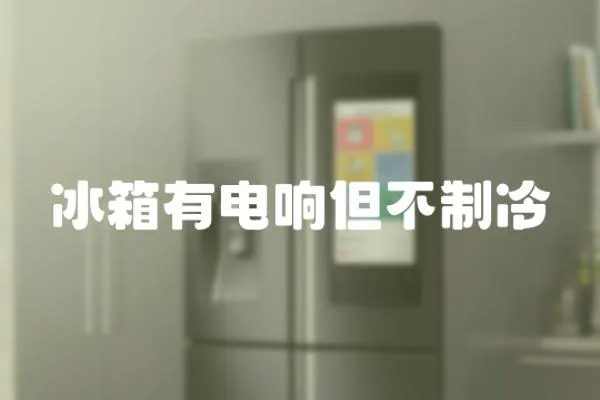 冰箱有電響但不制冷