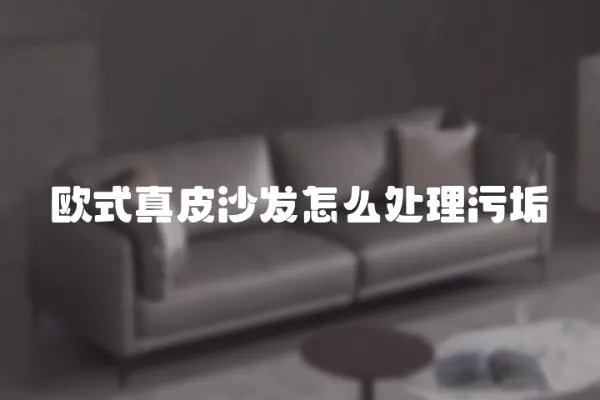 歐式真皮沙發怎么處理污垢