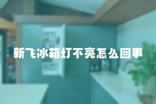 新飛冰箱燈不亮怎么回事