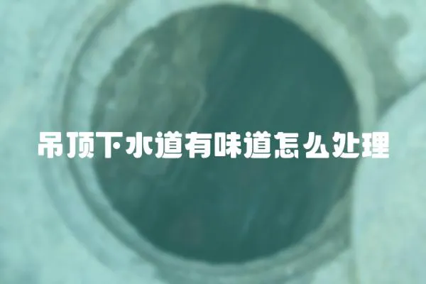 吊頂下水道有味道怎么處理