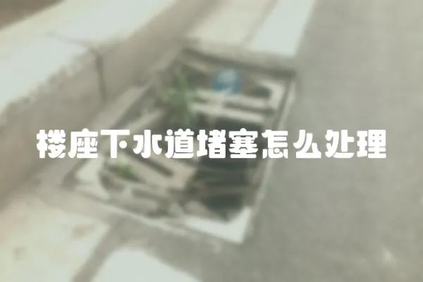 樓座下水道堵塞怎么處理