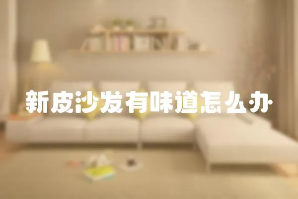 新皮沙發(fā)有味道怎么辦