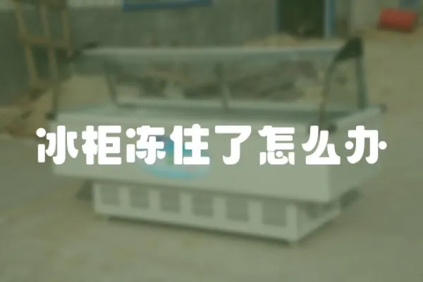 冰柜凍住了怎么辦