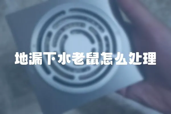 地漏下水老鼠怎么處理