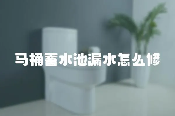 馬桶蓄水池漏水怎么修