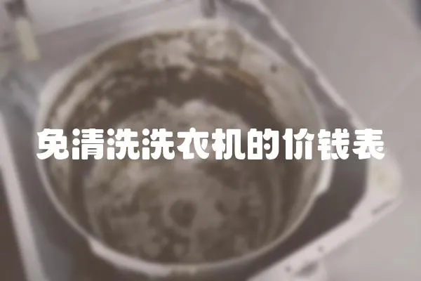 免清洗洗衣機的價錢表