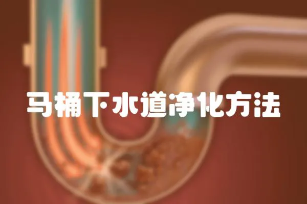 馬桶下水道凈化方法