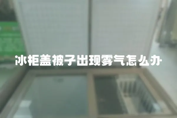 冰柜蓋被子出現(xiàn)霧氣怎么辦