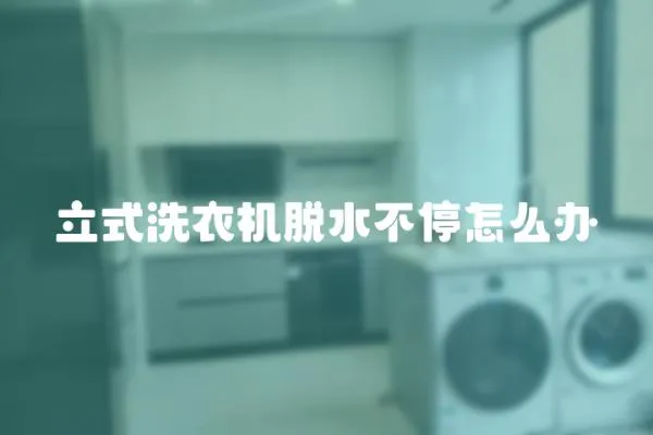 立式洗衣機(jī)脫水不停怎么辦