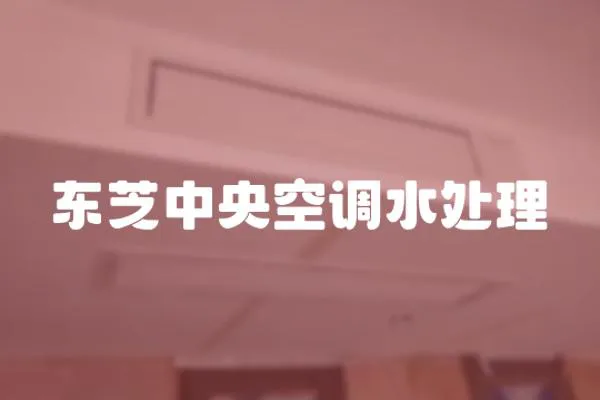 東芝中央空調(diào)水處理