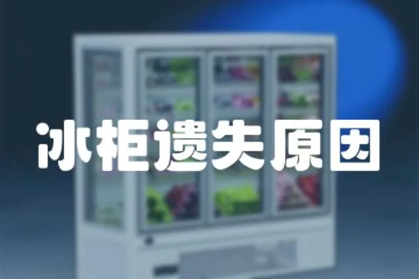 冰柜遺失原因