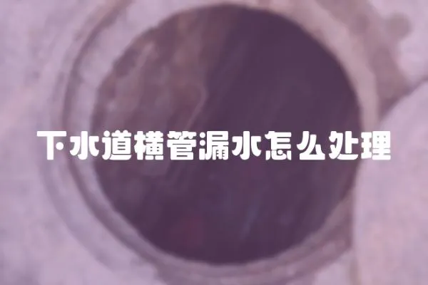 下水道橫管漏水怎么處理