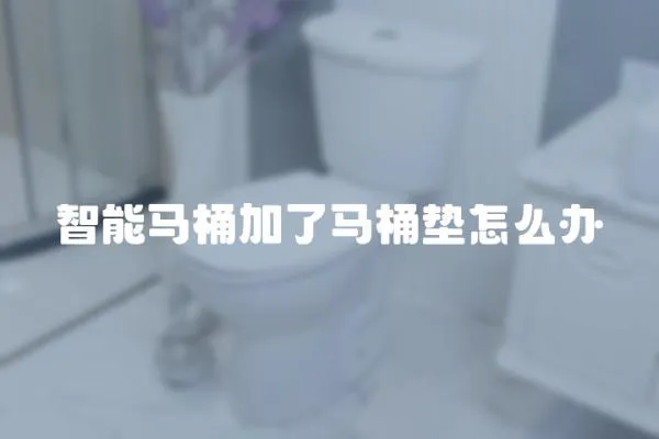 智能馬桶加了馬桶墊怎么辦