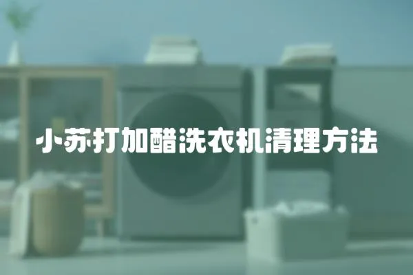 小蘇打加醋洗衣機清理方法