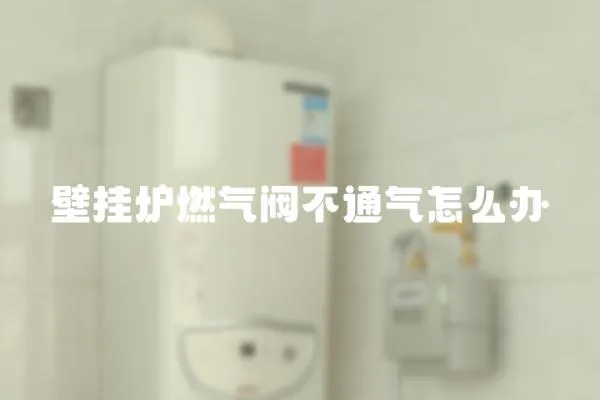 壁掛爐燃?xì)忾y不通氣怎么辦