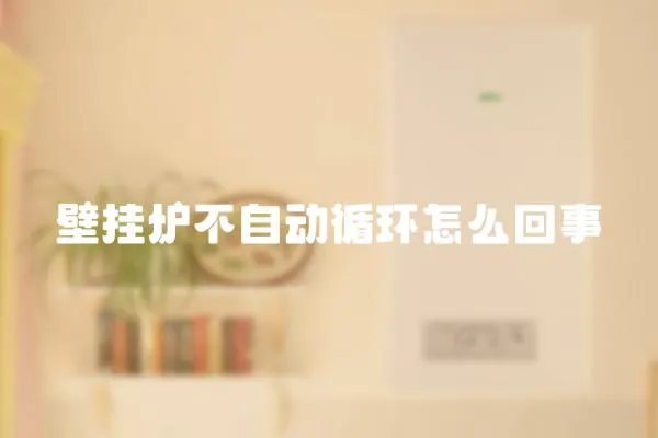 壁掛爐不自動循環怎么回事