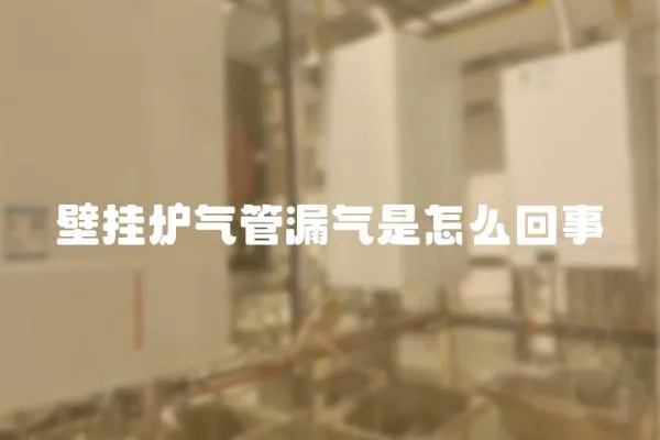 壁掛爐氣管漏氣是怎么回事