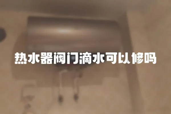 熱水器閥門滴水可以修嗎