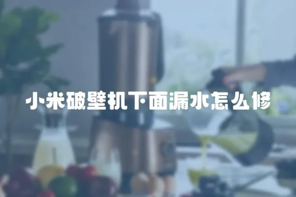 小米破壁機(jī)下面漏水怎么修