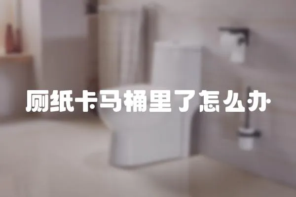 廁紙卡馬桶里了怎么辦