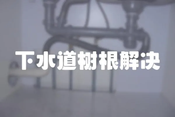 下水道樹根解決