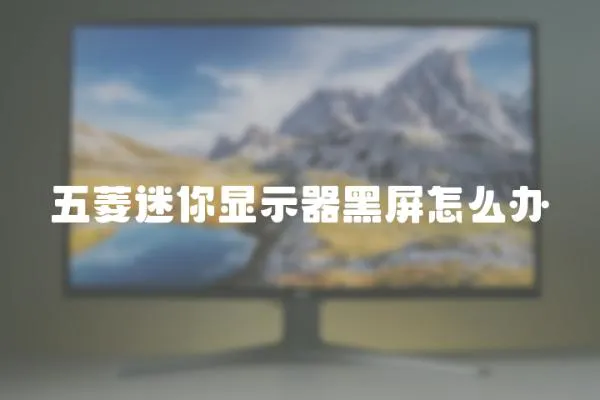 五菱迷你顯示器黑屏怎么辦