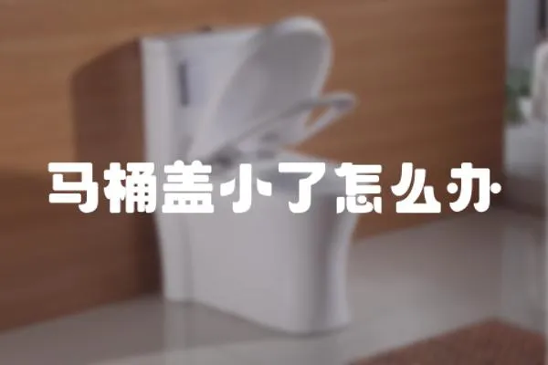 馬桶蓋小了怎么辦