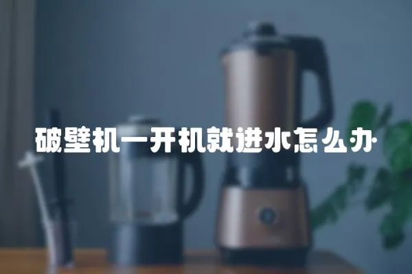 破壁機(jī)一開(kāi)機(jī)就進(jìn)水怎么辦