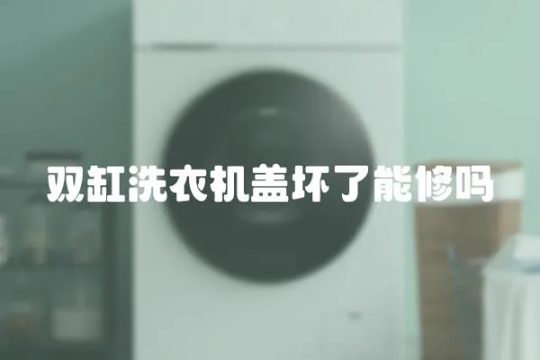 雙缸洗衣機(jī)蓋壞了能修嗎