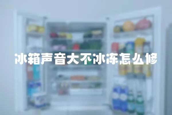 冰箱聲音大不冰凍怎么修