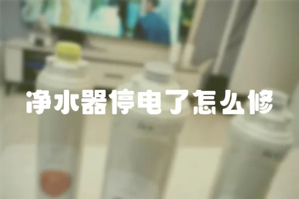 凈水器停電了怎么修
