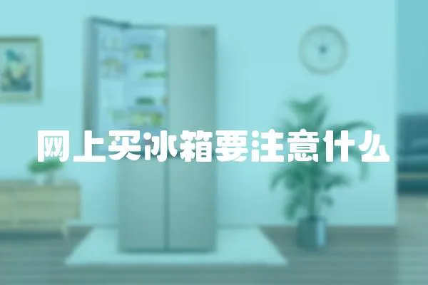 網上買冰箱要注意什么
