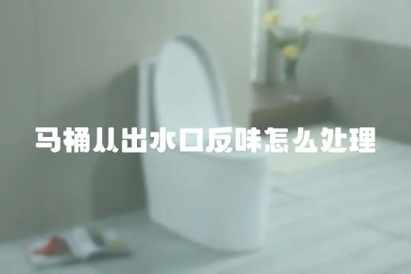 馬桶從出水口反味怎么處理