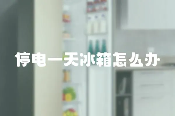 停電一天冰箱怎么辦