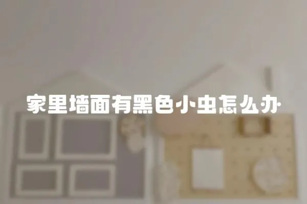 家里墻面有黑色小蟲怎么辦