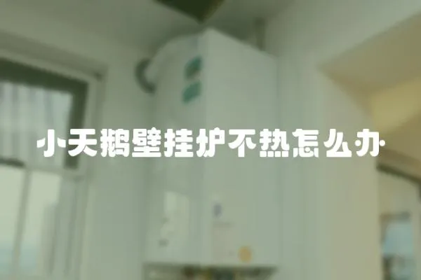 小天鵝壁掛爐不熱怎么辦