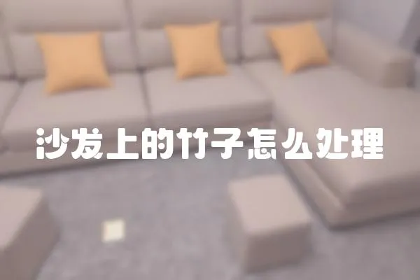 沙發(fā)上的竹子怎么處理