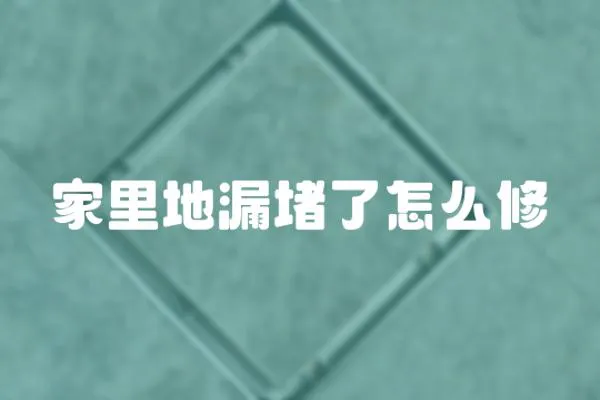 家里地漏堵了怎么修