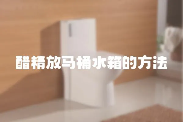 醋精放馬桶水箱的方法