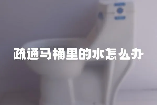 疏通馬桶里的水怎么辦