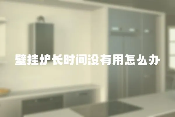 壁掛爐長時間沒有用怎么辦