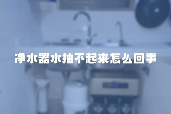 凈水器水抽不起來怎么回事