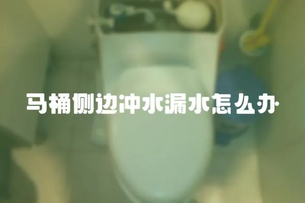 馬桶側邊沖水漏水怎么辦