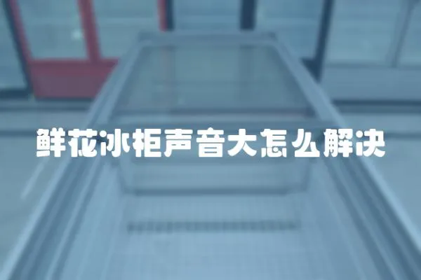鮮花冰柜聲音大怎么解決